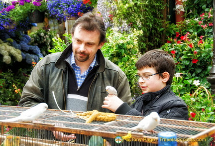 Visitors playing with the birds.